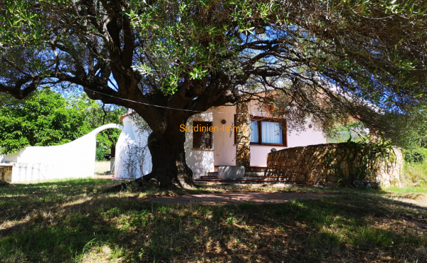 Moderne, lichtdurchflutete Villa mit Panorama-Meerblick